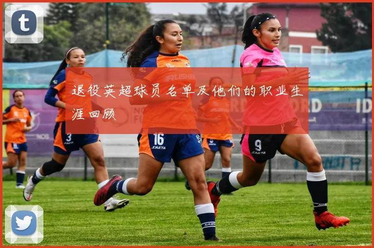 退役英超球员名单及他们的职业生涯回顾